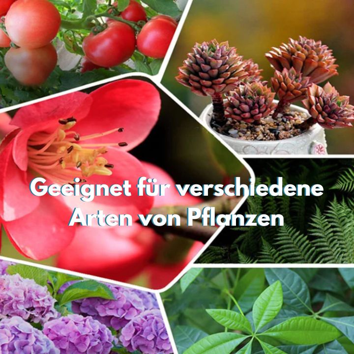 GrowBoost™ | Bringt Pflanzen wieder zum Leben !