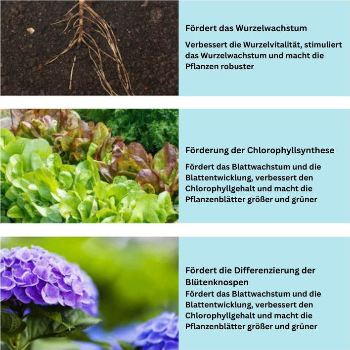 GrowBoost™ | Bringt Pflanzen wieder zum Leben !