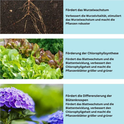 GrowBoost™ | Bringt Pflanzen wieder zum Leben !