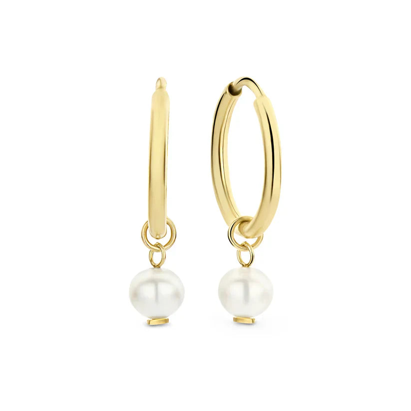 Delia Crest Ohrringe | Gold