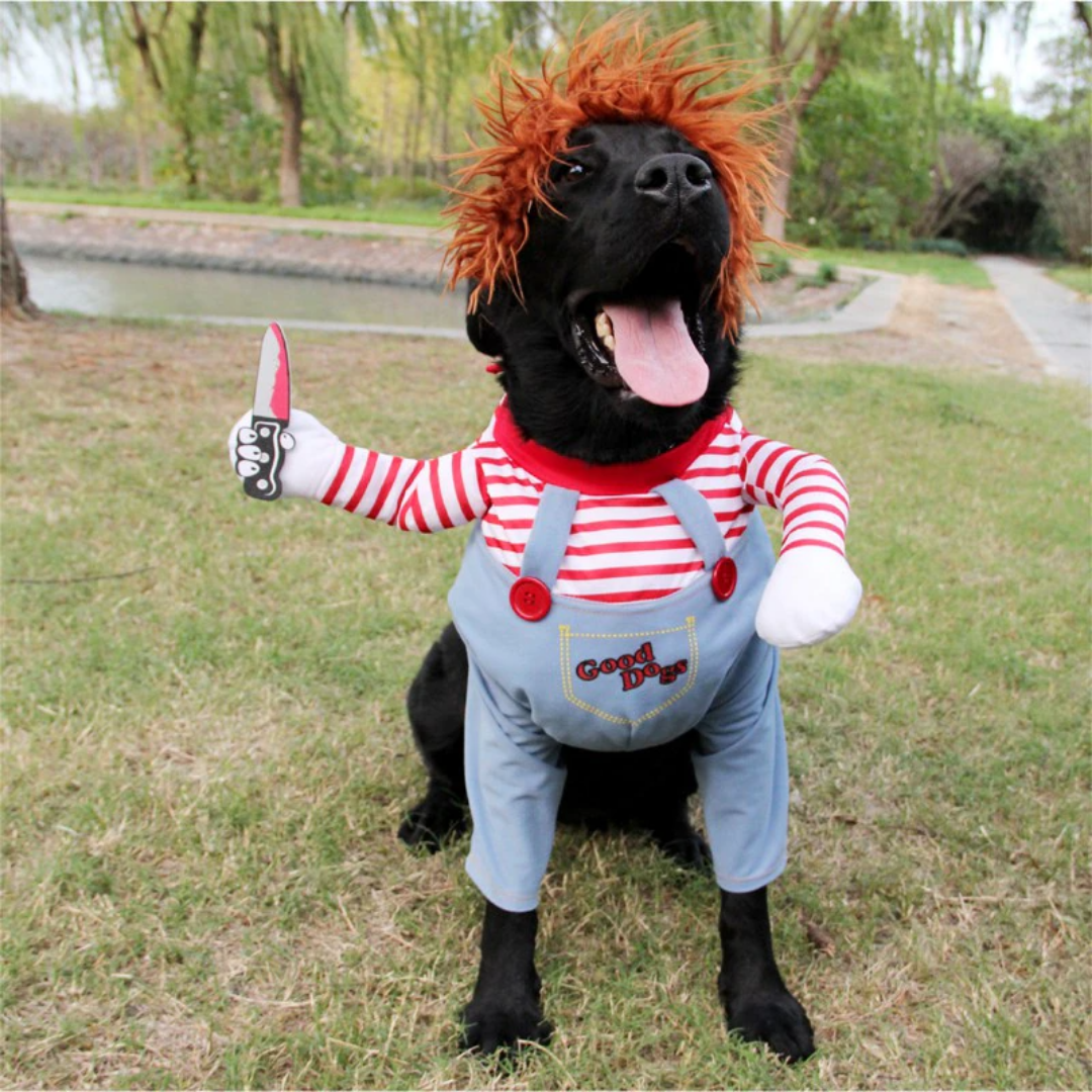 50% RABATT | ChuckyDog™ | Das Halloween-Kostüm für Ihren Hund!