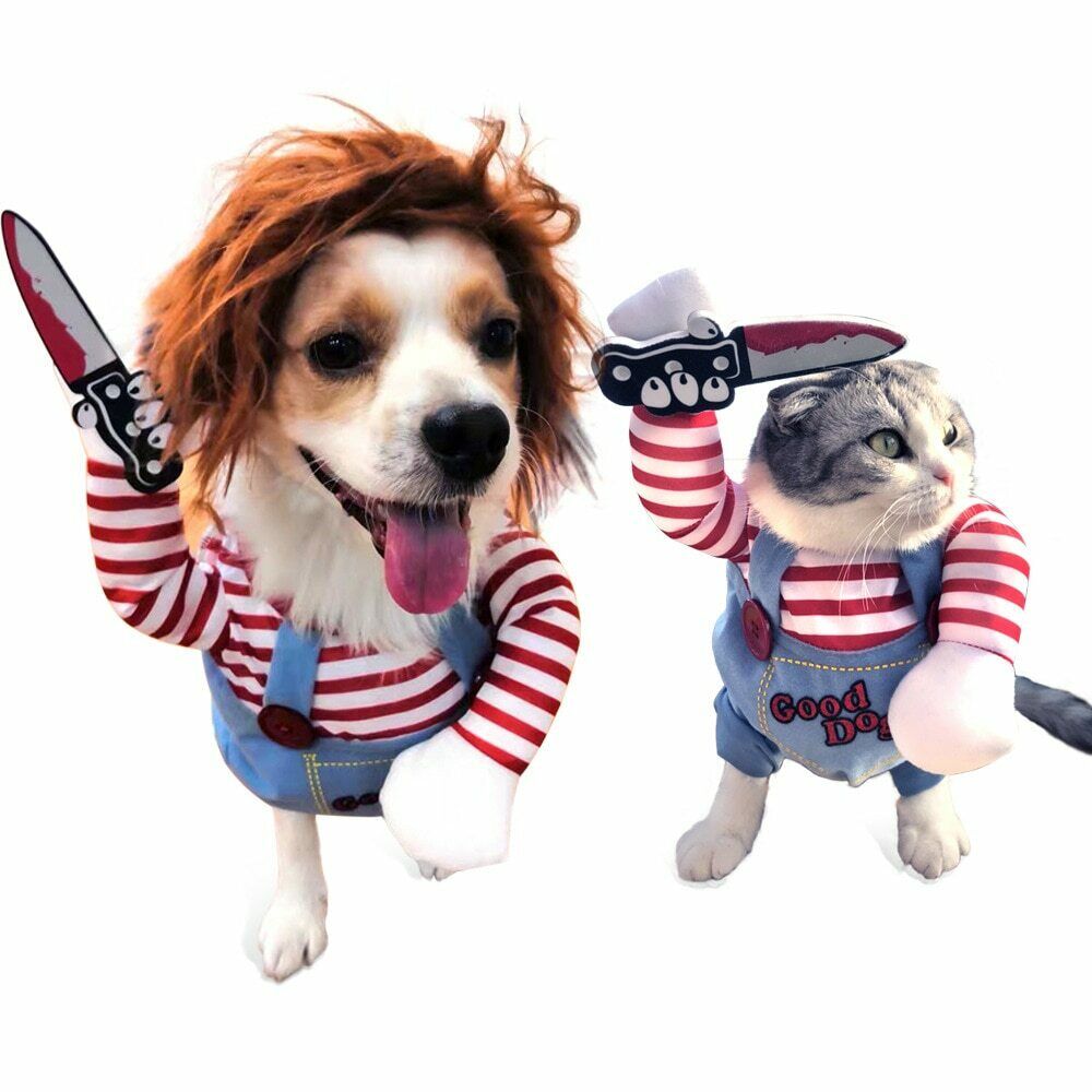 50% RABATT | ChuckyDog™ | Das Halloween-Kostüm für Ihren Hund!