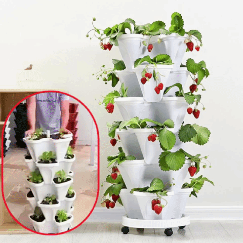 BloomTower™ | Lassen Sie Ihren grünen Daumen arbeiten!