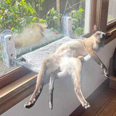 HappyMeoww™ - Supreme kattenhangmat [laatste dag korting]